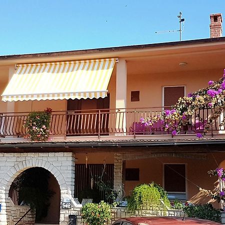 Apartment Taja Ližnjan Εξωτερικό φωτογραφία